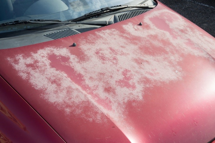 Paint Protection For A New Car